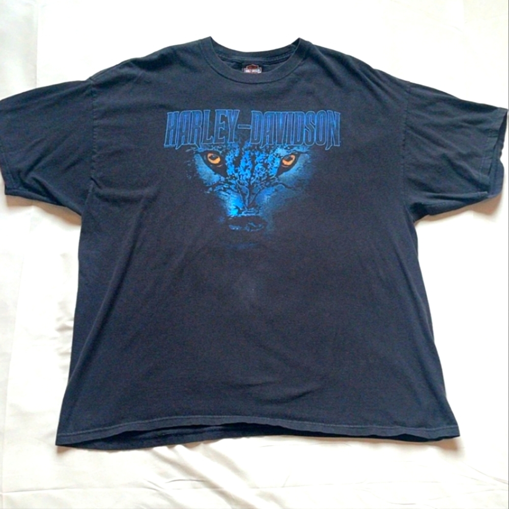 Vintage Harley Davidson Tee, Mens Overized Fit XXL, Worn In Black Harley T-shirt